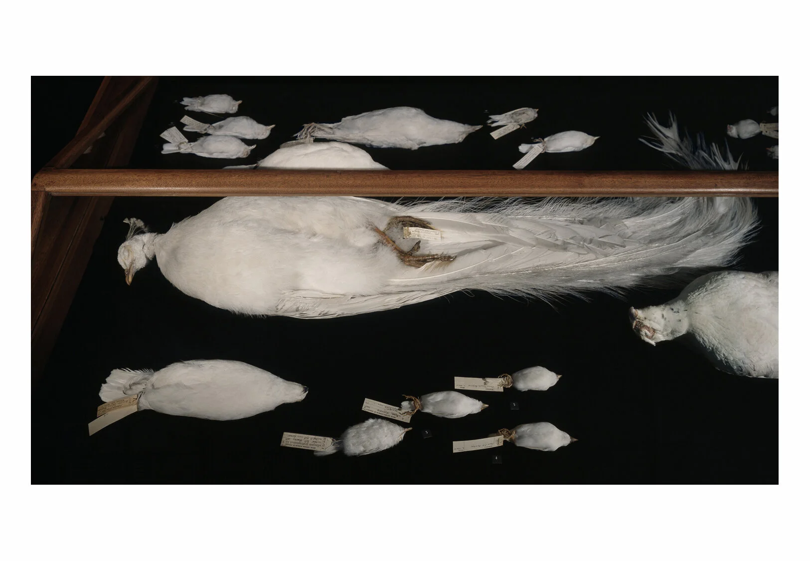 The Final Sleep — Spring Hurlbut